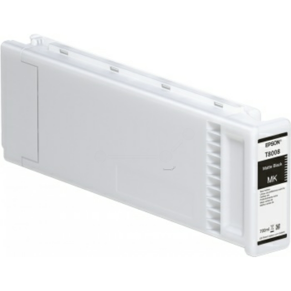 Epson Tinte C13T80080N, T8008