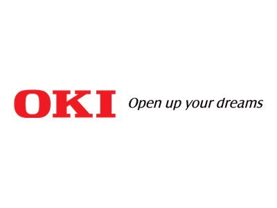 OKI Toner 44318619