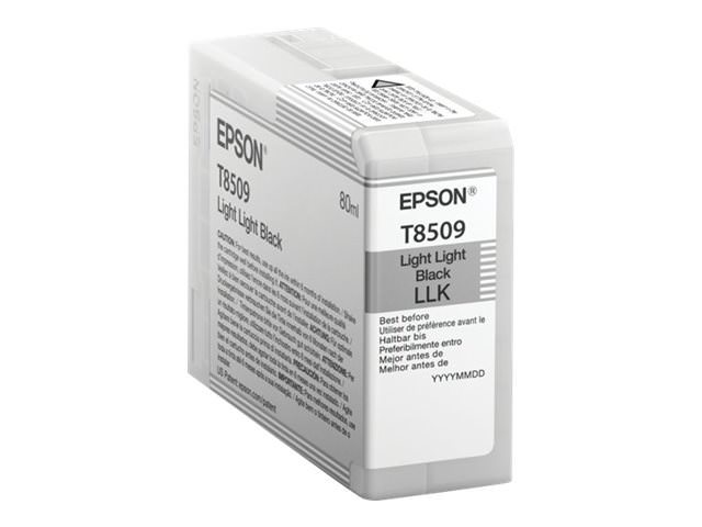 Epson Tinte C13T850900, T8509