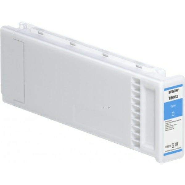 Epson Tinte C13T800200, T8002