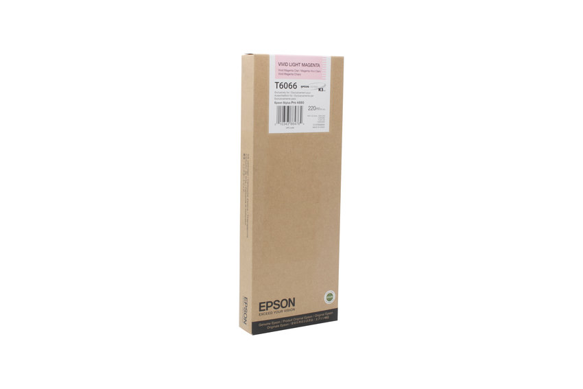 Epson Tinte C13T606600, T6066