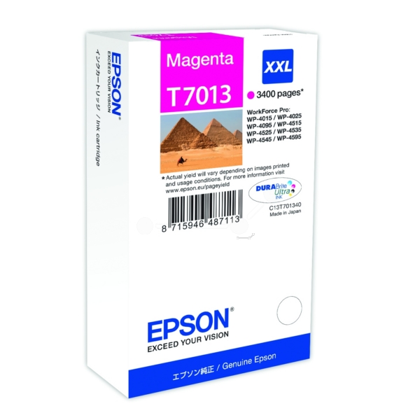Epson Tinte T70134010