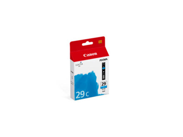 Canon Tinte 4873B001, PGI29C