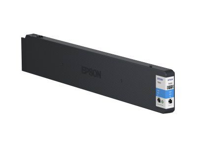 Epson Tinte C13T858200, T8582