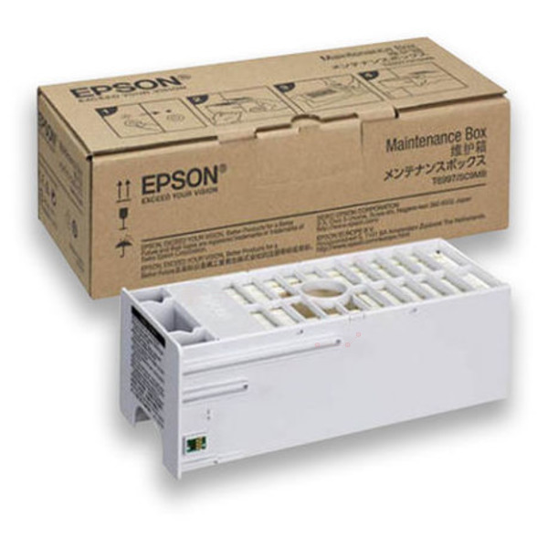 Epson Resttintenbehälter C13T699700