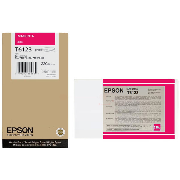 Epson Tinte C13T612300, T6123