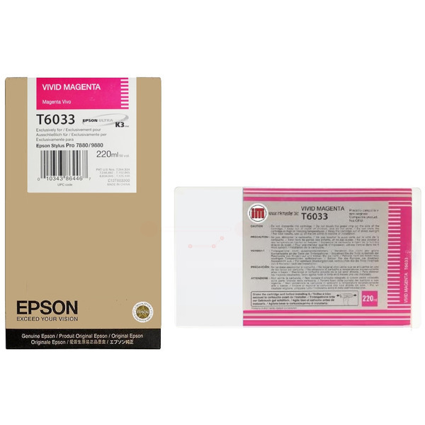 Epson Tinte C13T603300, T6033
