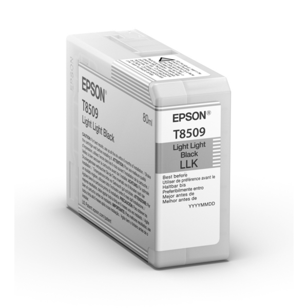 Epson Tinte C13T850900, T8509