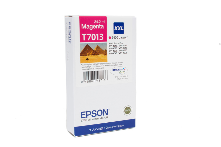 Epson Tinte T70134010