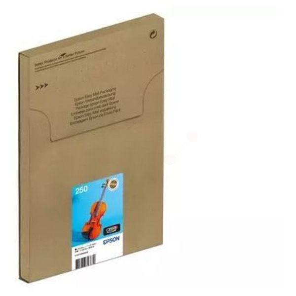 Epson Tinte C13T16N84510, 250