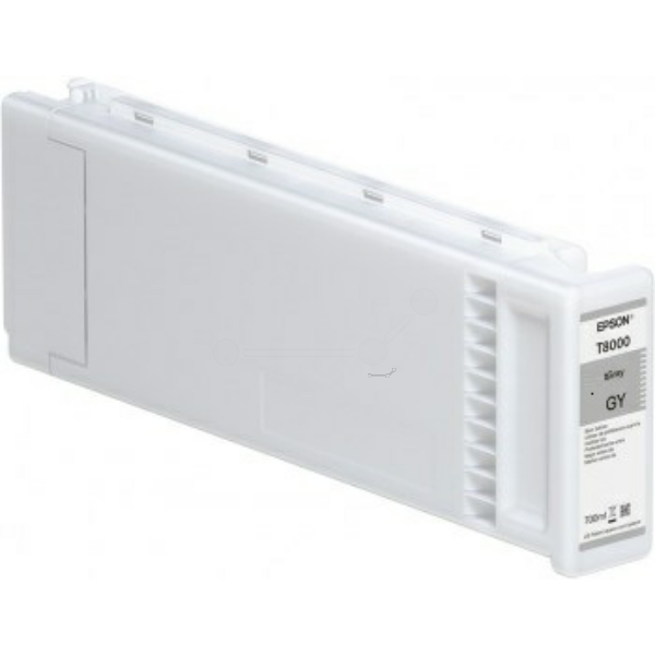 Epson Tinte C13T800900, T8009