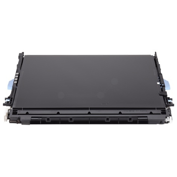 HP Transfer Belt CE516A
